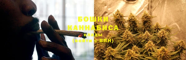 амф Нефтекумск